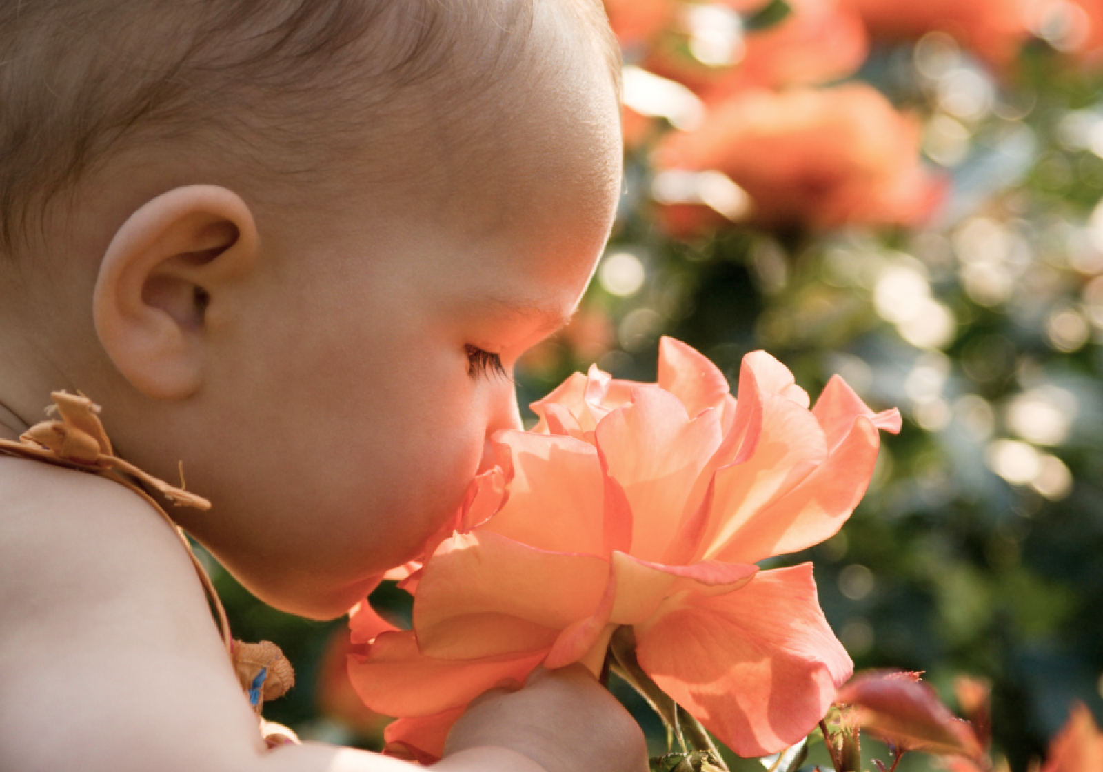 The Importance of Smell for Development
