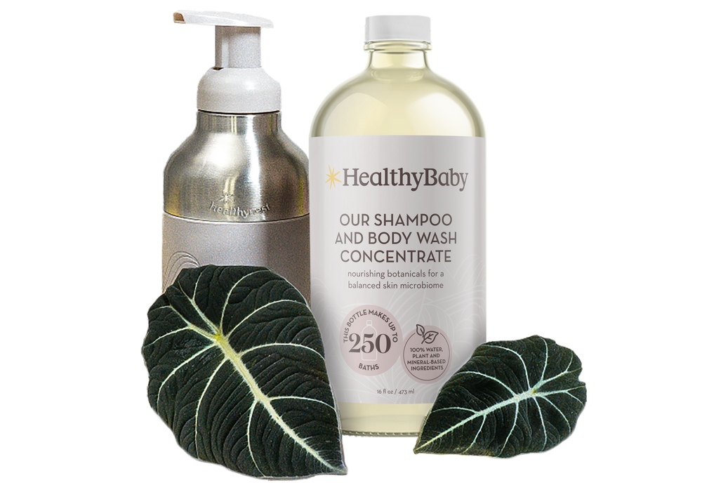 Our Shampoo and Body Wash Concentrate